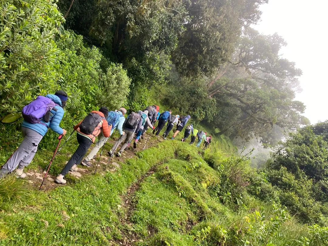 Hikers climbing a green Mount Meru trail with their guide